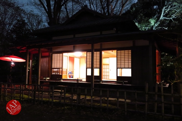 Weeping cherry tree (Shidarezakura) in Rikugien illumination attracts many people.0016