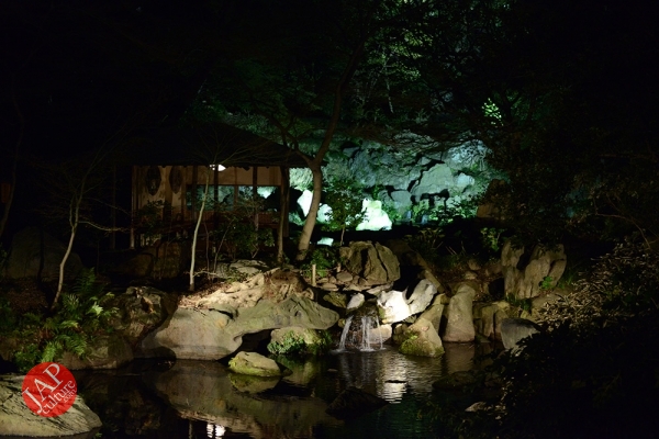 Weeping cherry tree (Shidarezakura) in Rikugien illumination attracts many people.0017