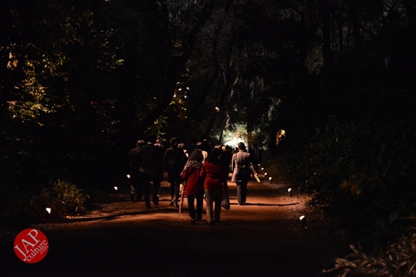 Weeping cherry tree (Shidarezakura) in Rikugien illumination attracts many people.0034
